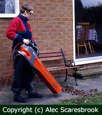Electric leaf collecter 