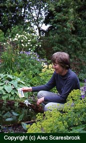 Copyright (c) Alec Scaresbrook. Testing pond water. 