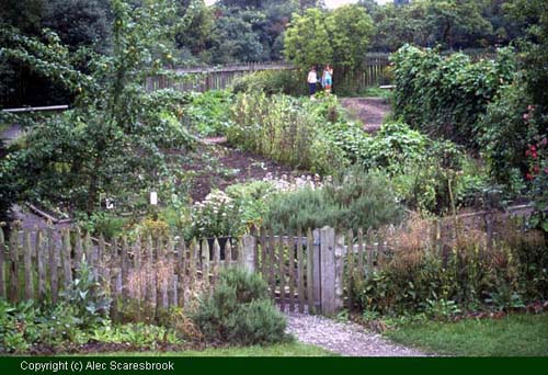 Apprentice House garden - Copyright (c) Alec Scaresbrook