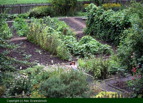 Apprentice House Garden - Copyright (c) Alec Scaresbrook