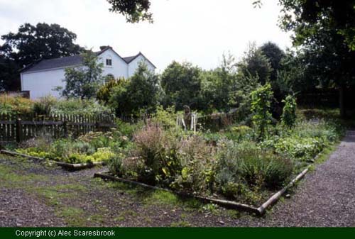 Apprentice House Garden - Copyright (c) Alec Scaresbrook
