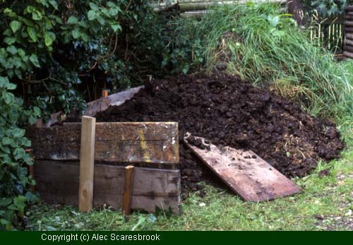 Well-rotted farmyard manure;  a good source of organic matter. - Copyright (c) Alec Scaresbrook