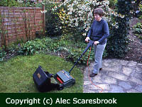 Electric lawn raker 
