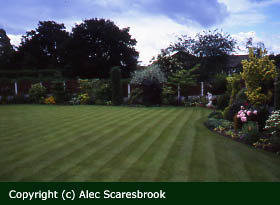 Striped lawn