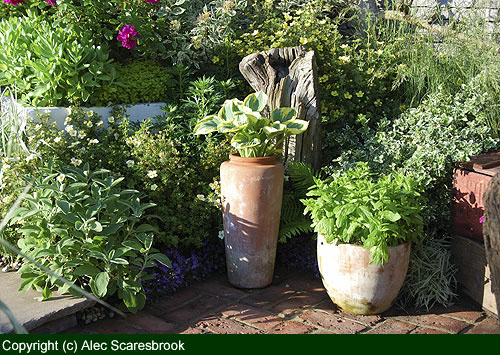 corner - close up - copyright (c) Alec Scaresbrook