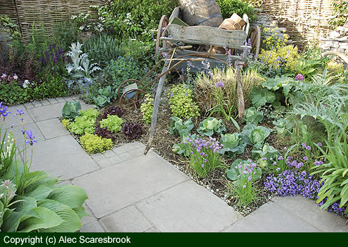 Farm cart border 1 - copyright (c) Alec Scaresbrook