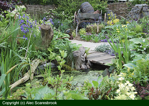 Pond and garden view 1 