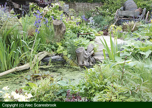 Pond and garden view 2 - copyright (c) Alec Scaresbrook 