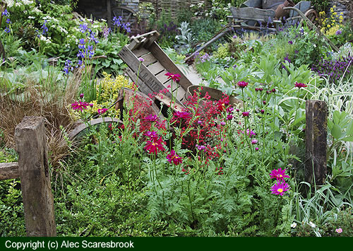 Hand cart border close up - copyright (c) Alec Scaresbrook