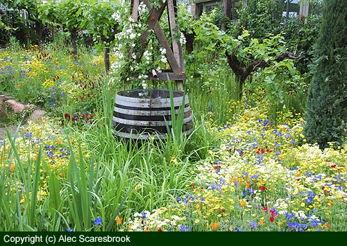 Water butt, flowers and vines - Fetzer show garden - copyright (c) Alec Scaresbrook