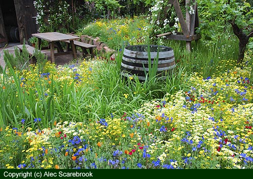 Water butt, flowers and vines - Fetzer show garden - Copyright (c) Alec Scaresbrook