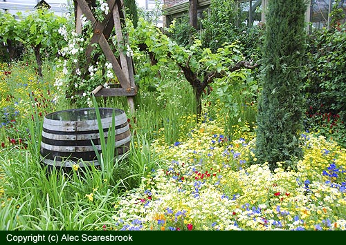 Water butt, flowers and vines - Fetzer show garden - Copyright (c) Alec Scaresbrook