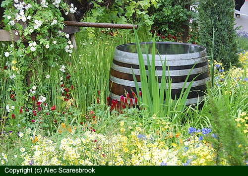 Water butt, flowers and vines - Fetzer show garden - Copyright (c) Alec Scaresbrook
