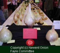 Onion show photo